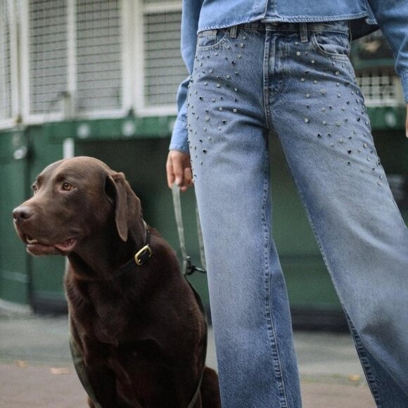 Straight-Cut High-Waist Jeans With Rhinestones From ZARA - Picture 4 of 16